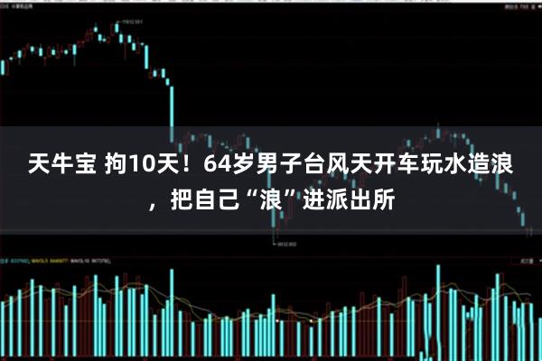 天牛宝 拘10天！64岁男子台风天开车玩水造浪，把自己“浪”进派出所