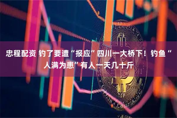 忠程配资 钓了要遭“报应”四川一大桥下！钓鱼“人满为患”有人一天几十斤