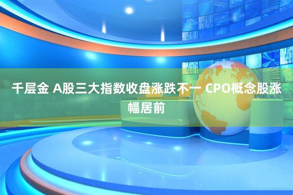 千层金 A股三大指数收盘涨跌不一 CPO概念股涨幅居前