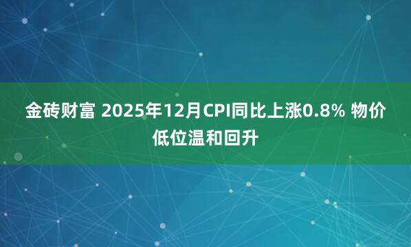 金砖财富 2025年12月CPI同比上涨0.8% 物价低位温和回升